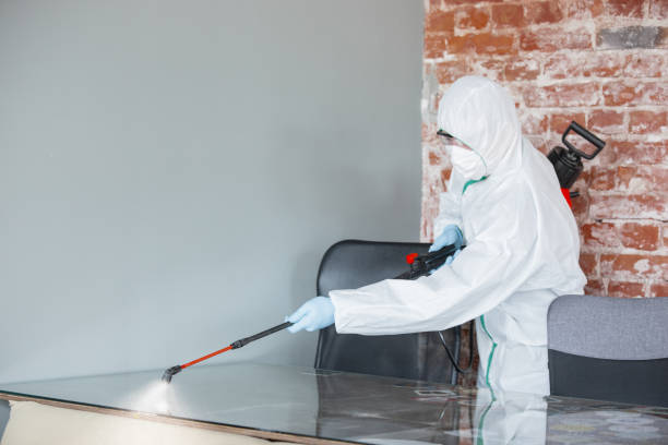 Why You Should Choose Our Mold Remediation Services in La Croft, OH